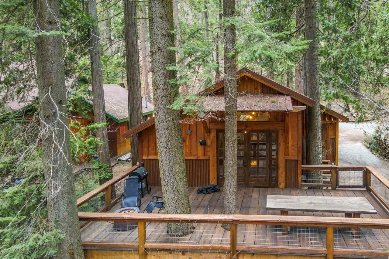 Enchanting Creekside Cabin Near Kings Canyon Park! Badger Ngoại thất bức ảnh