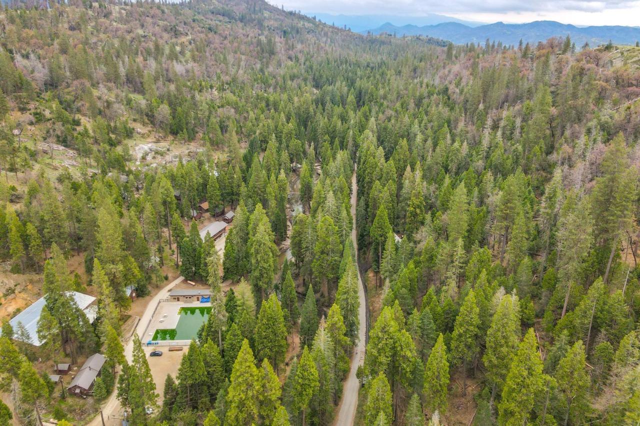 Enchanting Creekside Cabin Near Kings Canyon Park! Badger Ngoại thất bức ảnh